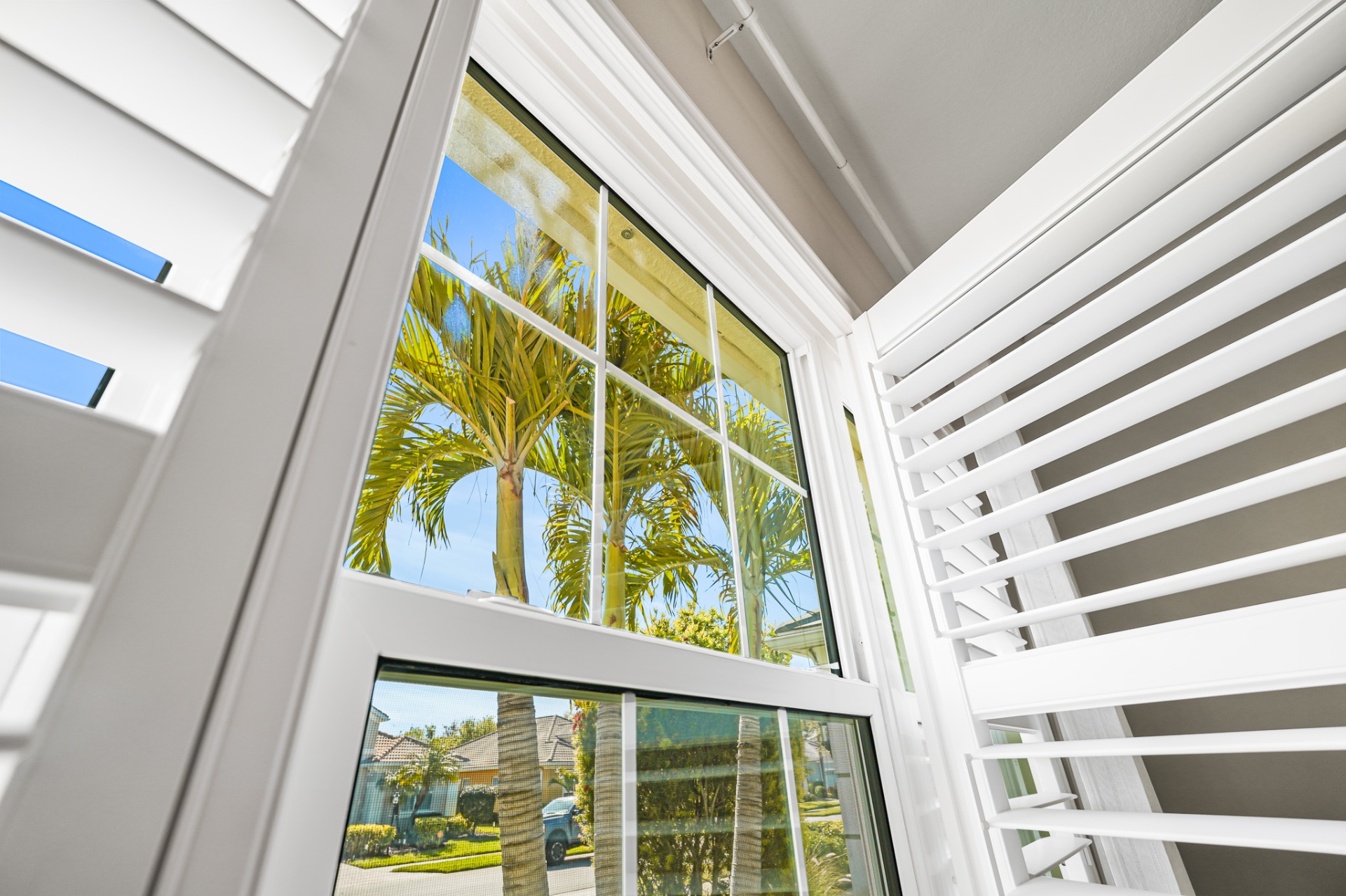 Detail of impact window with custom shutters and palm view